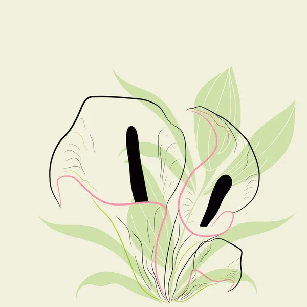Romantische Karte mit Calla-Blumen — Stockvektor
