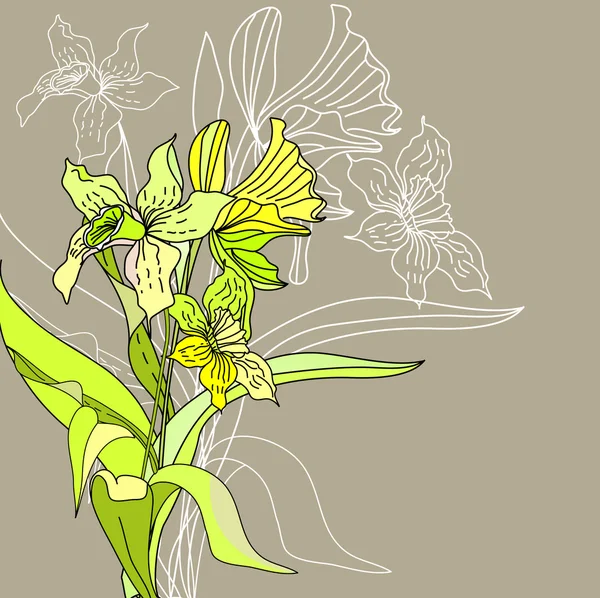 様式化された水仙の花 — ストックベクタ