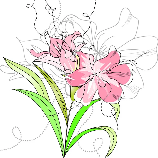 Lily bloemen — Stockvector