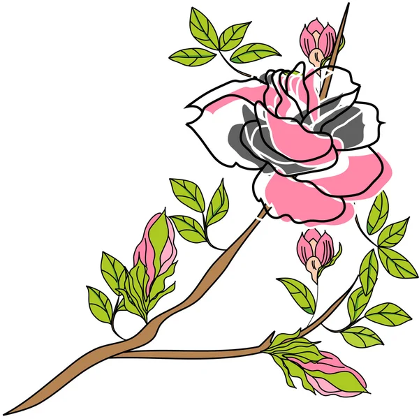 Rosenblüten — Stockvektor