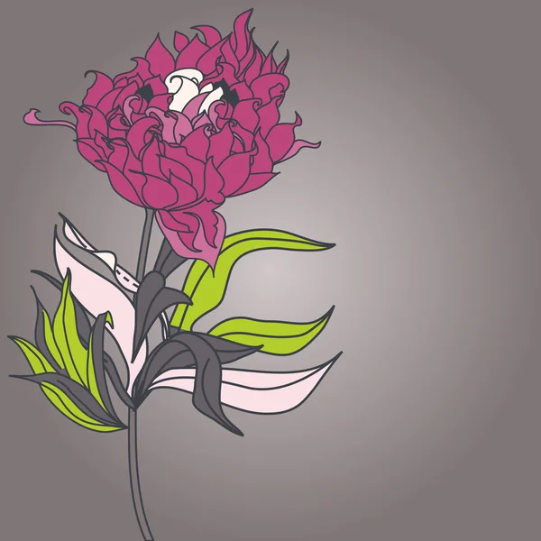 Flor de pión — Archivo Imágenes Vectoriales