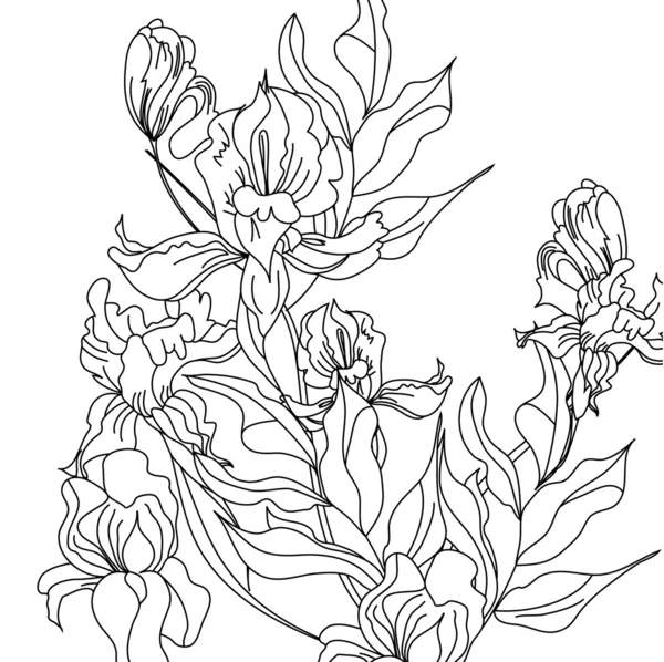 Schizzo con fiori di iris — Vettoriale Stock