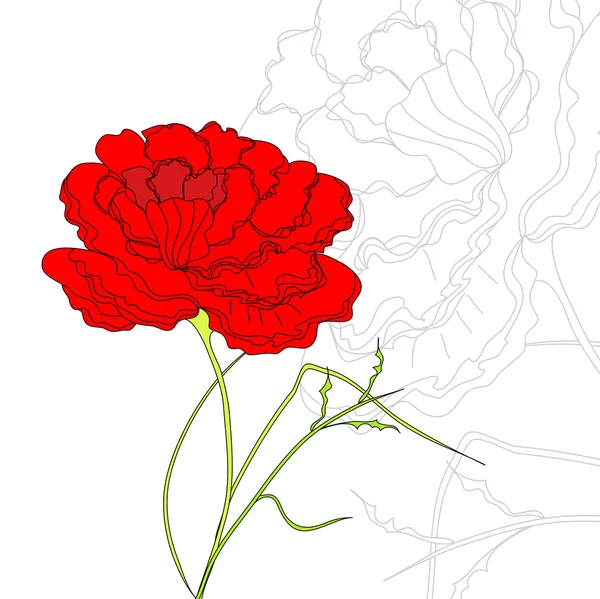 Κόκκινο λουλούδι — Διανυσματικό Αρχείο