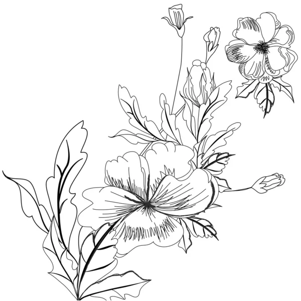 Schizzo con fiori — Vettoriale Stock