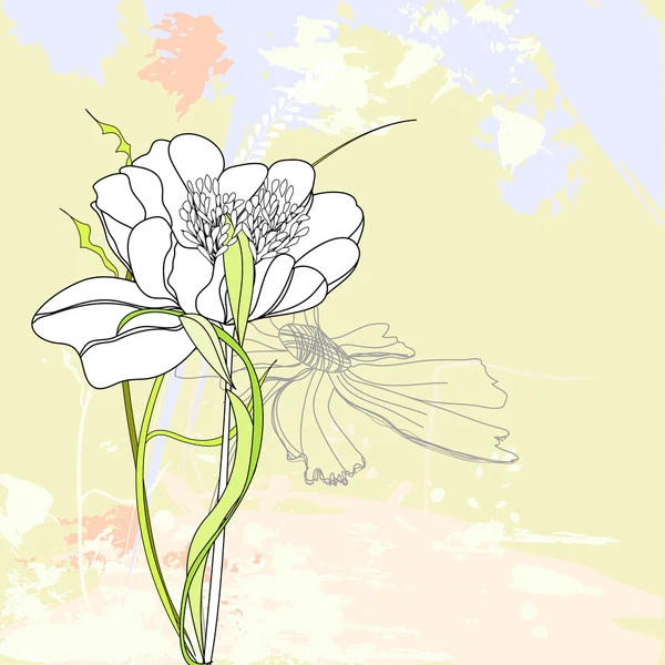 Romantisk blommig bakgrund — Stock vektor