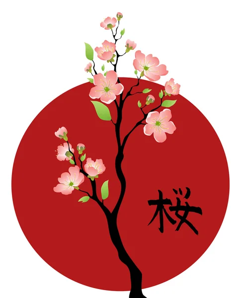 Sakura — Zdjęcie stockowe