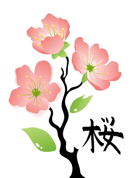Sakura. — Foto de Stock