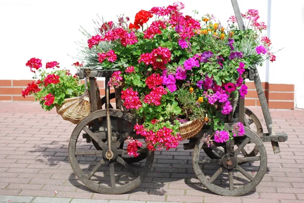 Flowers handcart — Stock Photo, Image