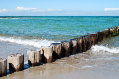 Baltic sea zingst clipart