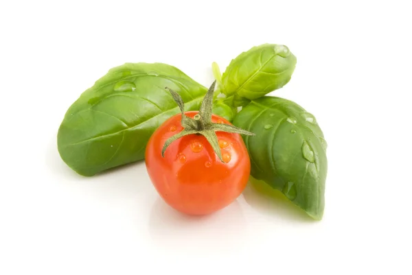 Kokteyl domates fesleğen — Stok fotoğraf
