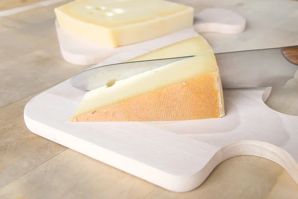 바바리아 치즈 — 스톡 사진