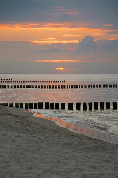 Узбережжя Балтійського моря — стокове фото