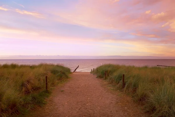 Path sea sunset — Stock Photo, Image