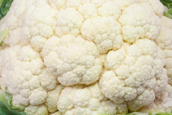 Closeup of cauliflower — Stock Photo, Image