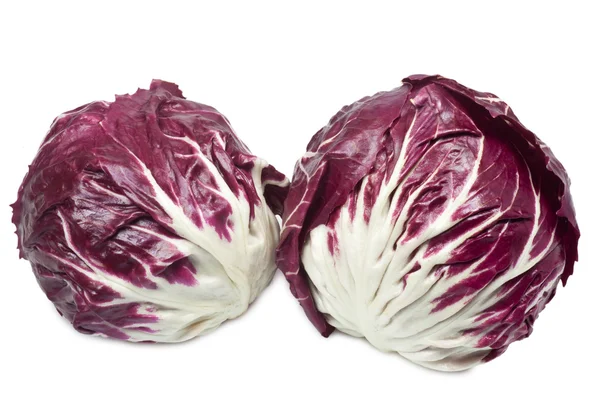 Radicchiosallad — Stockfoto