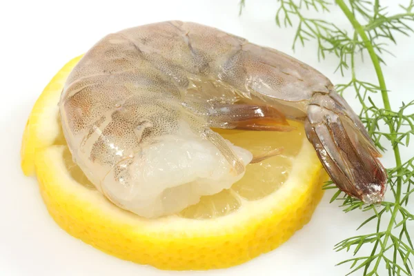 Raw shrimp — Stock Photo, Image