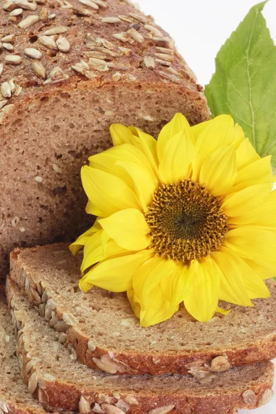 黑麦面包的向日葵 — 图库照片