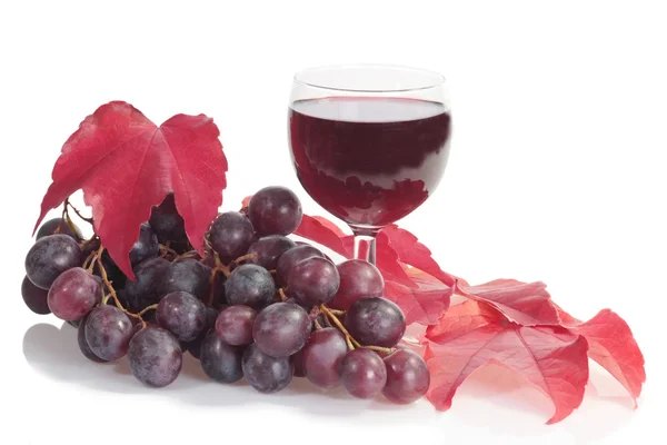 Vinho tinto com uvas — Fotografia de Stock