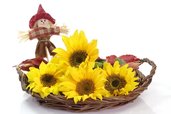 Sunflower Decoration — Stock Photo, Image