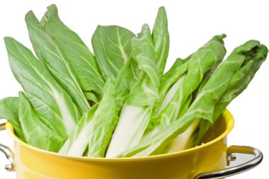 Chard leaves clipart