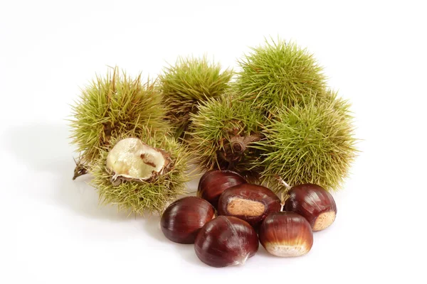 Ripe Sweet Chestnuts — Stock Photo, Image
