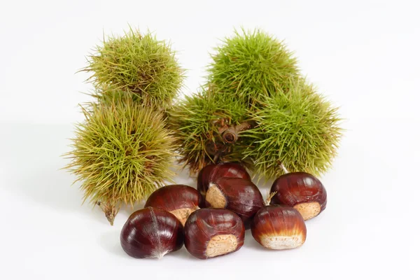 Sweet Chestnuts — Stock Photo, Image