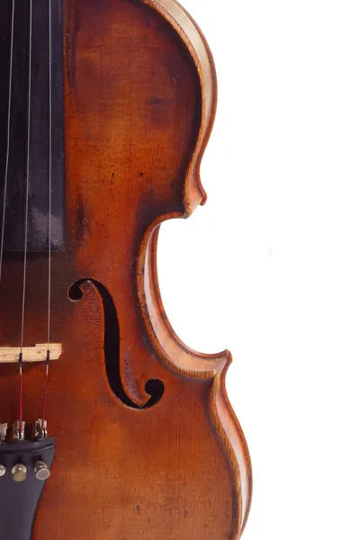Скрипка изолирована — стоковое фото
