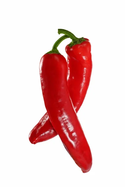 Röd peperoni — Stockfoto