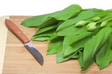 Cooking with ramsons clipart