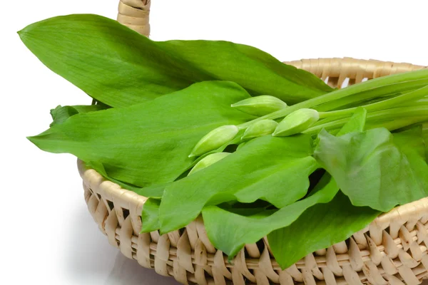 Ramsons in a basket — Stock Photo, Image