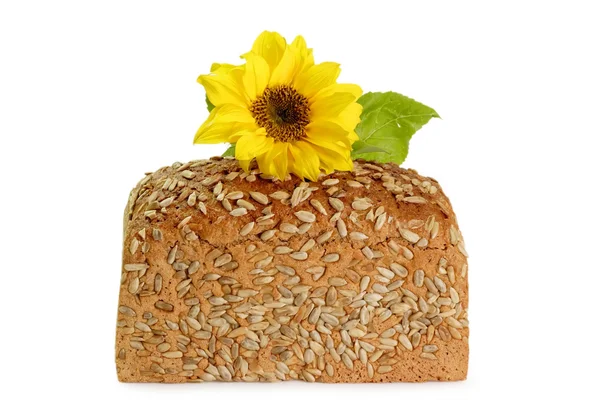 Healthy bread with sunflower — Stock Photo, Image