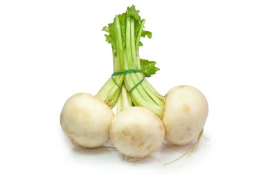 White radish clipart