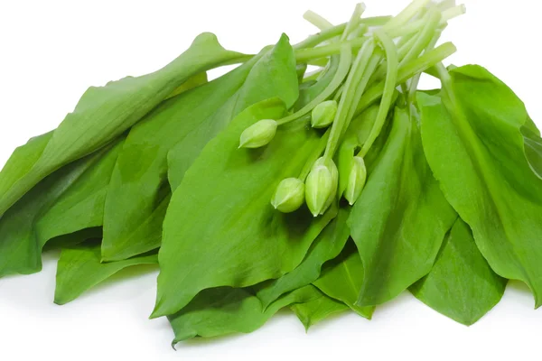 Ramsons with buds — Stock Photo, Image