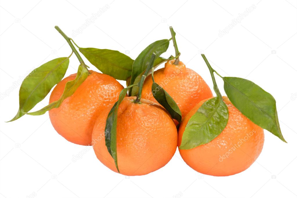Tangerine fruit collection — Stock Photo © saphira 3633574