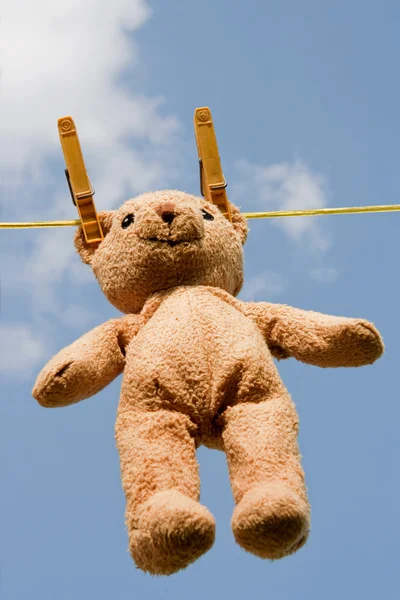 stock image Teddy on a clothesline