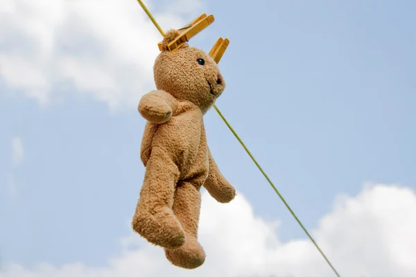 stock image Teddy on a line