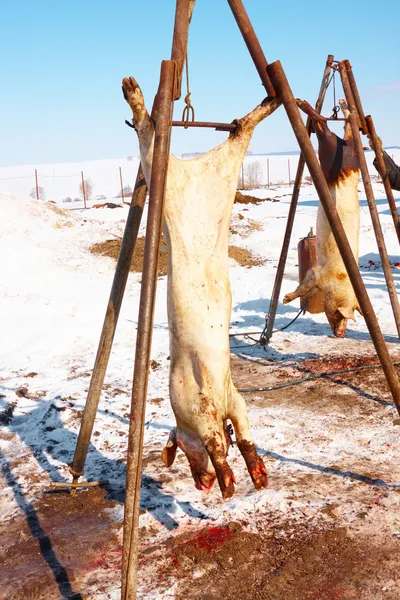 stock image Meat processing