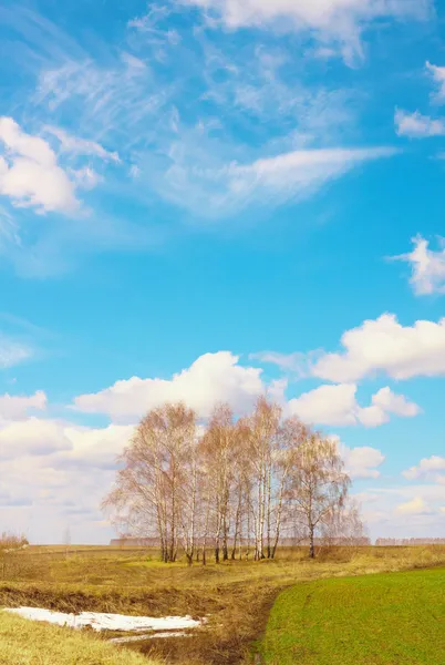 Небо над полем — стоковое фото