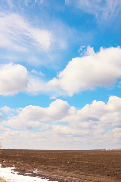 필드 위에 하늘 — 스톡 사진