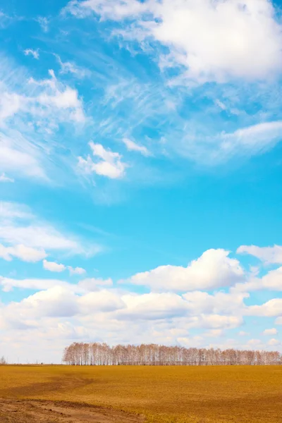 필드 위에 하늘 — 스톡 사진