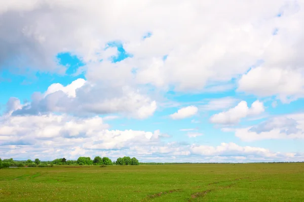 Cielo nublado sobre el campo — Foto de Stock