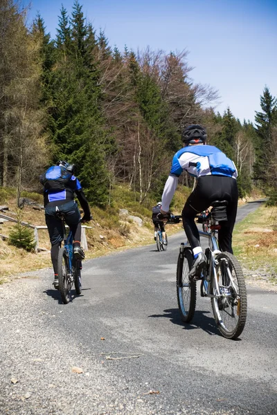 Mountainbikecyklister kommer uppförsbacke — Stockfoto