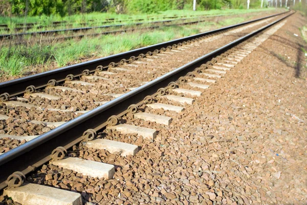 Railroad tracks en groen gras — Stockfoto