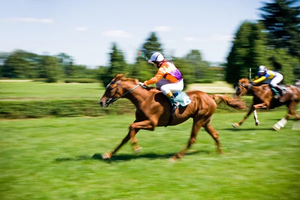 Paardenrennen, bewegingsonscherpte — Stockfoto