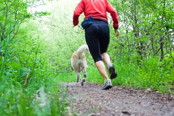 Correre nella foresta con il cane — Foto Stock