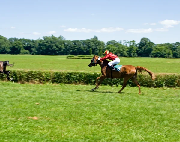 Horse racing, motion blurred — Stock Photo, Image