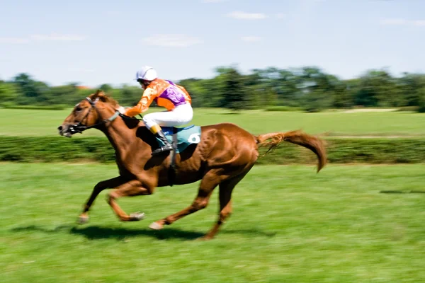 Paardenrennen — Stockfoto