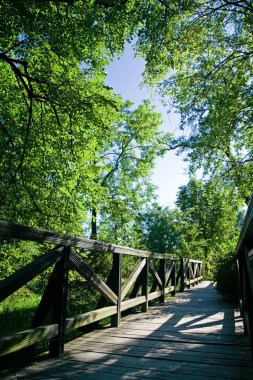 Yaz aylarında yeşil park köprü