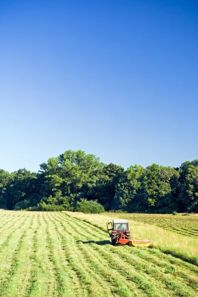 Трактор работает на летней ферме — стоковое фото