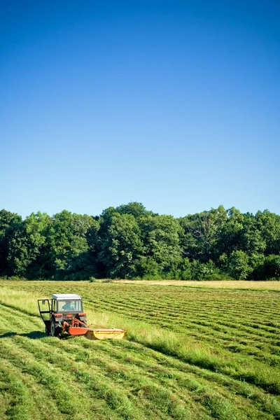 Traktor arbeitet im Sommer auf Bauernhof — Stockfoto